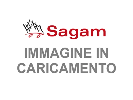 Sagam Service Audi E Volkswagen