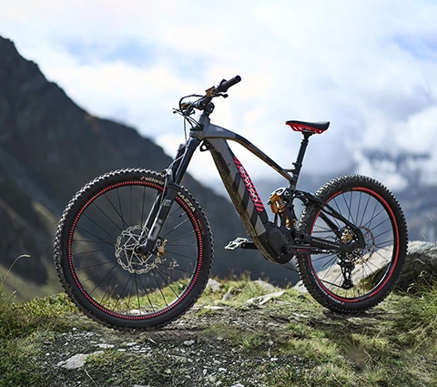 Bici 480X426